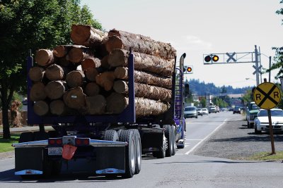 Log Truck at the Crossing