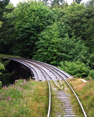 Trestle on the Curve