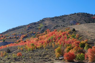 Fall is everywhere