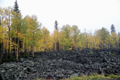 Lava Fields near Cedar Breaks