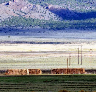 Hay Stacks for a farmer