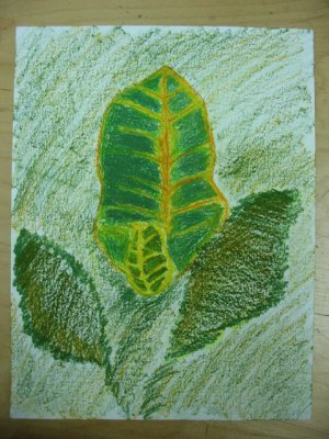 leaf, Meline, age:7