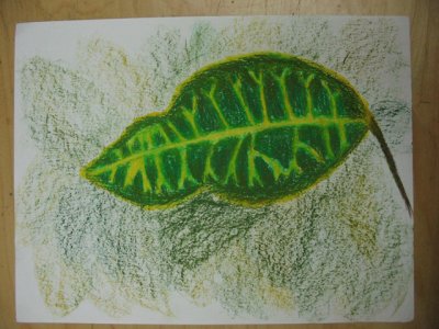 leaf, Sonia, age:9
