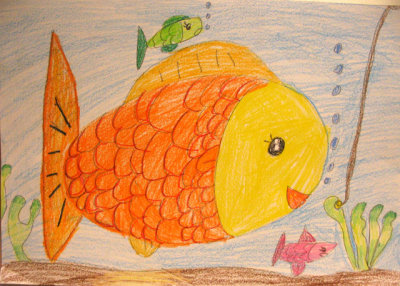 fish, Coco, age:6