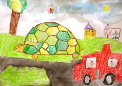 turtle, Callum, age:6