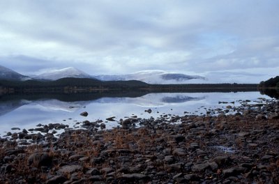 06 181003 Loch Morlich.JPG