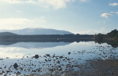 51 231003 Loch Morlich from Glenmore Forest.JPG