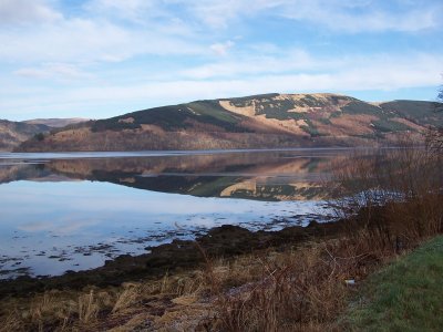 Loch Fyne from A815.