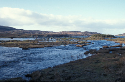 Denvoig.