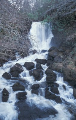 Middle Waterfall at Aros Park.
