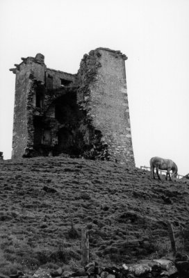 Ruin at Rinvyle, Nr Clifden(Connemara National park)BW.