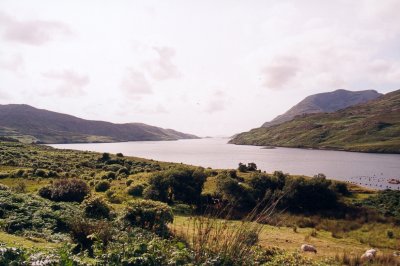 Killary Fjord looking west from N59.