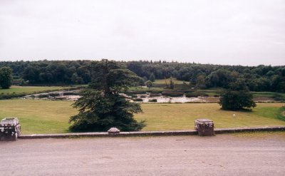 View from Curraghchase House.