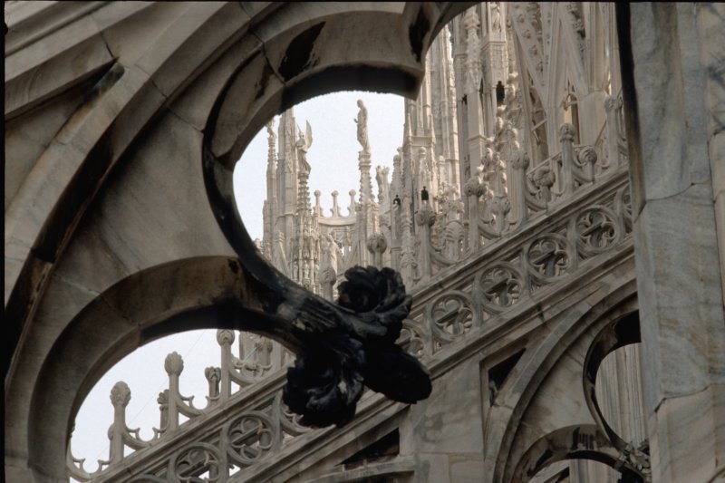 The Duomo