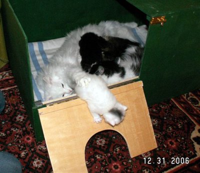 Mom tries to stop him,...