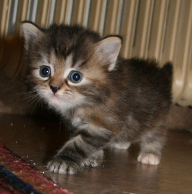 4 weeks old :-)