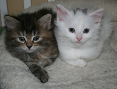 6 weeks - Jazmin & Jowan.jpg