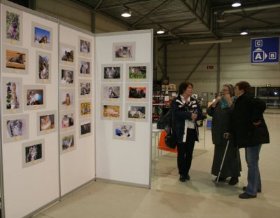 s Presentation2.jpg