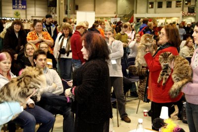 Siberian Special - Lahti, Finland 2007