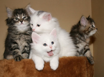 Tired of posing ;-)
