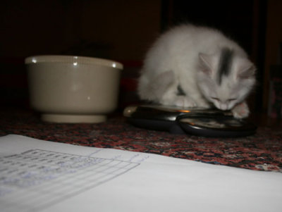 Josif weighs in all by himself!