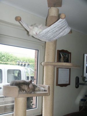 PICT0005.jpg