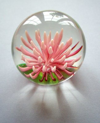 Murano paperweight