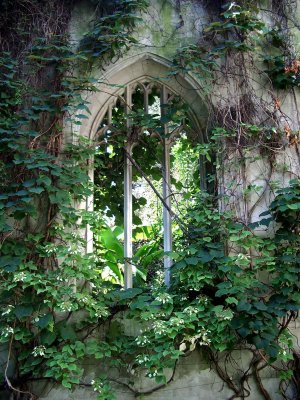 Overgrown church wndow