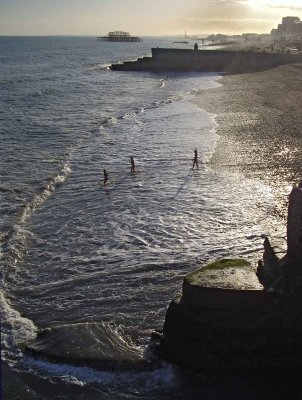 Frolicking in the surf