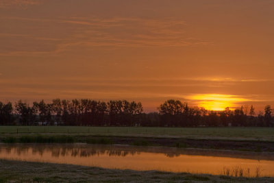 morning-light 3