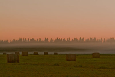 morning-light- 4
