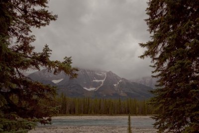 ICEFIELDS PARKWAY #4
