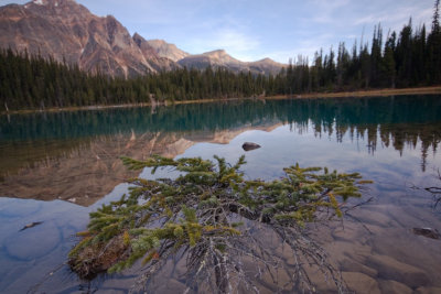 CAVELL LAKE #4