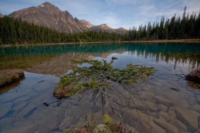 CAVELL LAKE #5
