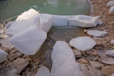 ICE AGE #7