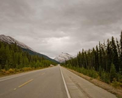 ICEFIELDS PARKWAY #11