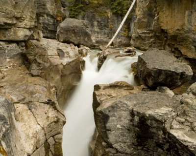 NIGEL CREEK #4
