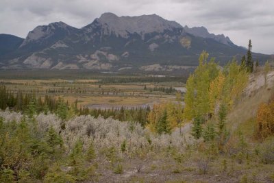 VISTA  #2