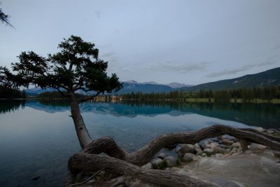 TWILIGHT AT THE LODGE