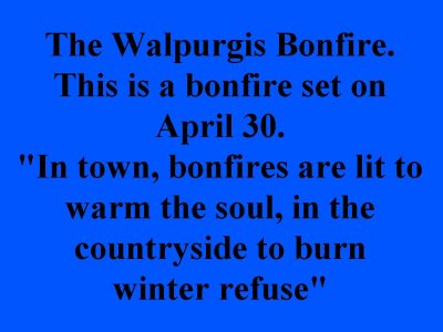 Walpurgis Eve  Bonfire 2007