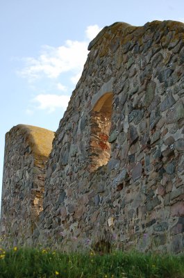 Castle Brahehus Ruins
