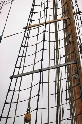 g6/78/720878/3/81717833.ZMabzozP.jpg