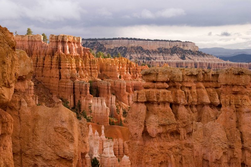 Bryce on a cold day