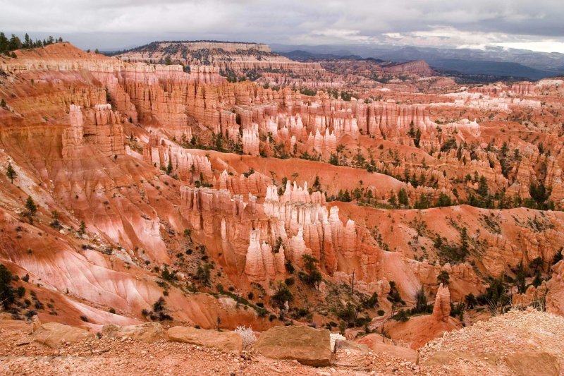 Bryce