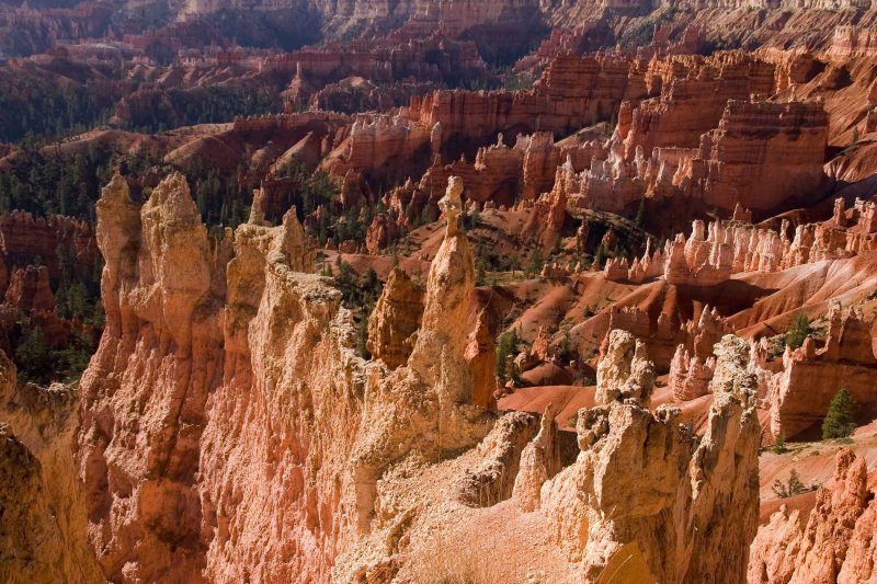 View of Hoodoos