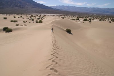 Lonely place
