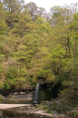Waterfall