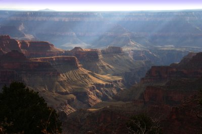 The Grand Canyon