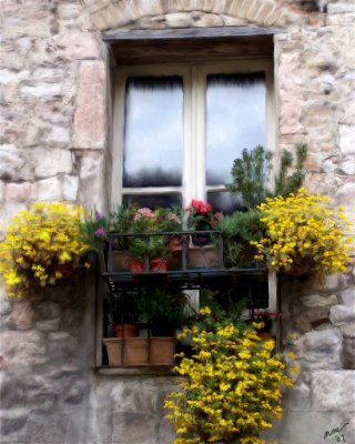 Window Box in Assisi