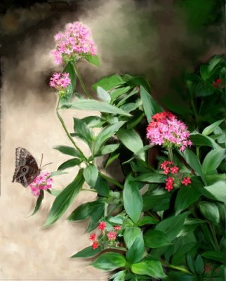Butterfly & Flowers